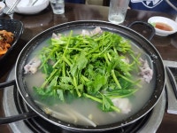 강산복집 - 신당역 복어, 복어요리 맛집 - 다이닝코드