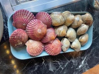 달빛조개 - 월미도 조개구이, 조개요리 맛집 - 다이닝코드