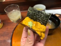 논데 - 종로3가 스시오마카세, 스시 맛집 - 다이닝코드