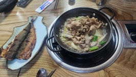 시골식당 - 신정네거리역 보신탕, 영양탕 맛집 - 다이닝코드