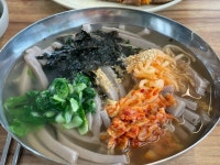풍성손메밀묵집 - 진천동 메밀묵 맛집 - 다이닝코드