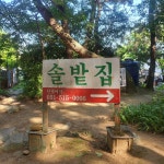 솔밭집 - 금정산 파전, 막걸리 맛집 - 다이닝코드