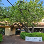 부산시민공원숲속북카페 - 부산진구 북카페 맛집 - 다이닝코드