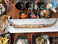 형제도식당 - 중문 갈치, 갈치구이 맛집 - 다이닝코드