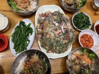 만광식당 - 울릉도 물회, 꽁치 맛집 - 다이닝코드