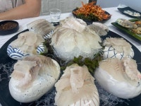 우리들횟집 - 고성 횟집, 대게 맛집 - 다이닝코드