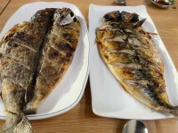 청아라 생선구이 - 망원동 생선구이, 고등어구이 맛집 - 다이닝코드