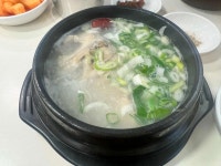 한방대가삼계탕 여의도점 - 여의도 삼계탕, 반계탕 맛집 - 다이닝코드