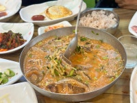 성미식당 - 제주공항근처 생선구이, 고등어 맛집 - 다이닝코드