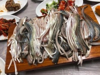 또순이식당 - 여수 횟집, 서대회무침 맛집 - 다이닝코드