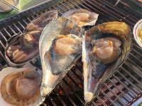 물새집 - 안면도 조개구이, 횟집 맛집 - 다이닝코드