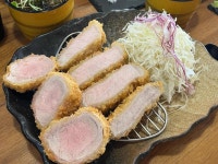 톤톤 - 쌍문역 카츠, 돈까스 맛집 - 다이닝코드