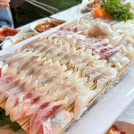 독도활어 - 속초 횟집, 모둠회 맛집 - 다이닝코드