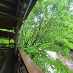 느티나무식당 - 지리산 백숙, 산나물밥 맛집 - 다이닝코드