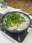 파도식당 - 주문진 대구탕, 도치알탕 맛집 - 다이닝코드