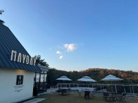 메이데이 - 여주 파스타, 알리오올리오 맛집 - 다이닝코드