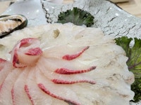 무지개횟집 - 강릉 횟집, 자연산회 맛집 - 다이닝코드
