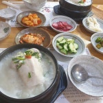 백제계삼탕 창원본점 - 창원 삼계탕 맛집 - 다이닝코드