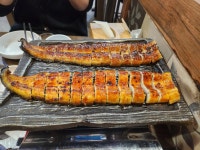 소금빛풍천장어 - 수원 장어, 장어탕 맛집 - 다이닝코드