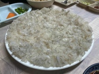 성도횟집 - 양양 횟집, 참가자미세꼬시 맛집 - 다이닝코드