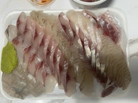 싱싱활어회 수성황금점 - 수성구 횟집, 물회 맛집 - 다이닝코드