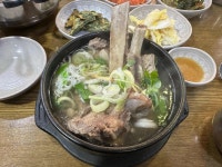 봉평웰빙메밀막국수 - 약수역 막국수, 봉평메밀막국수 맛집 - 다이닝코드