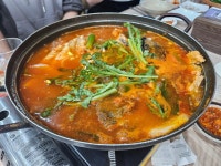 어촌식당 - 강서구 횟집, 쭈꾸미샤브샤브 맛집 - 다이닝코드