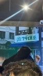 79대포 성남은행점 - 성남 술집, 막걸리 맛집 - 다이닝코드
