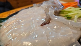오징어나라 - 금정역 횟집, 오징어회 맛집 - 다이닝코드