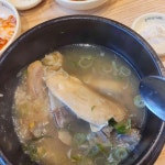 토정삼계탕 배방관 - 배방 삼계탕, 한방삼계탕 맛집 - 다이닝코드