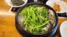 해송 복집 - 성신여대 복어, 복지리 맛집 - 다이닝코드