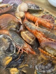 원조양지해물탕 - 사천 해물탕, 해산물 맛집 - 다이닝코드