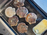 대구조개창고 2호점 - 대구달서구 조개구이 맛집 - 다이닝코드