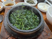 만드리곤드레밥 - 김해공항 곤드레, 곤드레밥 맛집 - 다이닝코드