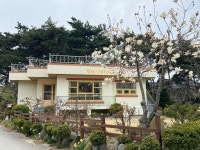 카페덕덕 - 강릉 카페, 디저트 맛집 - 다이닝코드