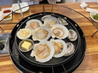 군산조개천국 - 세종 조개구이, 삼합구이 맛집 - 다이닝코드