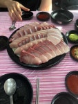 우리바다수산 - 망원역 방어회, 대방어 맛집 - 다이닝코드