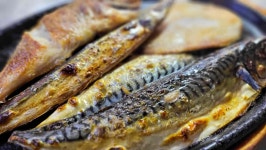 생선구이전문점 정가네 - 청주 생선구이, 갈치조림 맛집 - 다이닝코드