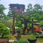 산과구름아래 - 창녕 샌드위치, 카페 맛집 - 다이닝코드