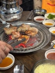 수정자갈치꼼장어 - 괴정동 꼼장어, 닭구이 맛집 - 다이닝코드