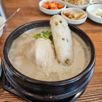 백제13월삼계탕 창원중동점 - 창원 삼계탕, 누룽지삼계탕 맛집 - 다이닝코드