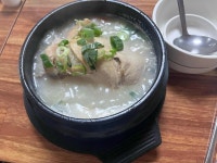 우성삼계탕 - 포항 삼계탕, 인삼주 맛집 - 다이닝코드