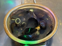 바다를훔친언니 - 신사역 해물구이, 조개전골 맛집 - 다이닝코드