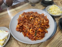 김흥관 힘센낙지마당 - 안산 낙지볶음 맛집 - 다이닝코드