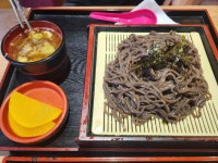 다미가 - 부천 돈까스, 냉모밀 맛집 - 다이닝코드