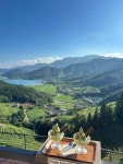 초록잎이 펼치는 세상 - 보성 카페, 녹차 맛집 - 다이닝코드