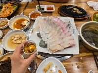 우리동네 아쿠아리움 동래점 - 동래 횟집, 모듬회 맛집 - 다이닝코드