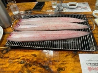 불수성 풍천장어 - 나주 장어, 장어구이 맛집 - 다이닝코드