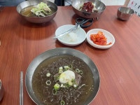 한마음 냉면 - 대전유성구 냉면, 만두 맛집 - 다이닝코드