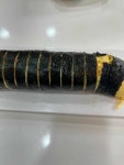 여우애김밥 신풍역점 - 신길동 김밥, 키토김밥 맛집 - 다이닝코드